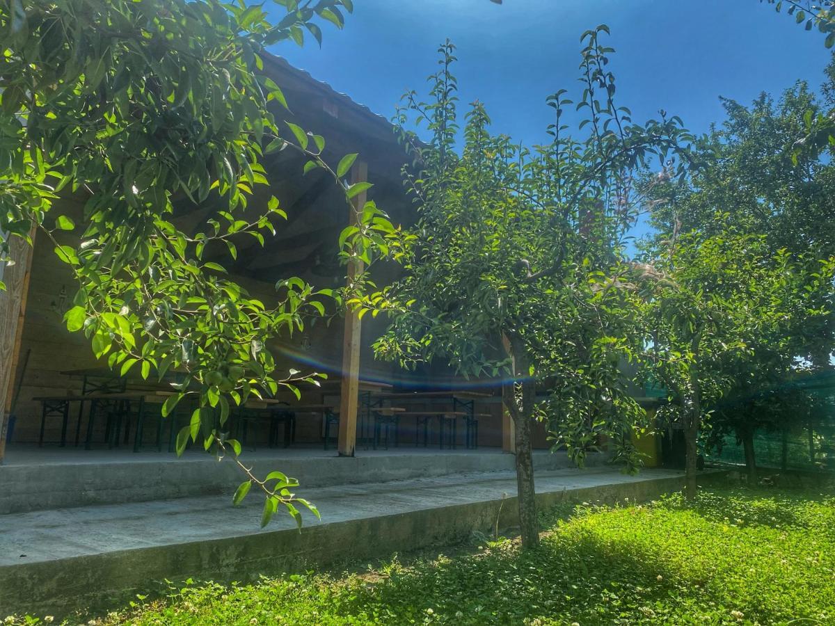 Raven Comstar Apartment Corbu  Ngoại thất bức ảnh